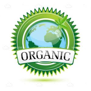 Organic globe
